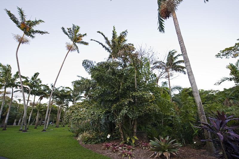 20080424_194355 D3 P.jpg - Fairchild Garden